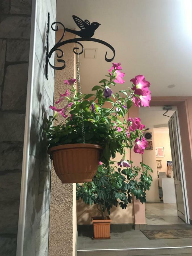 White Rose Guest Rooms Burgas Exterior foto